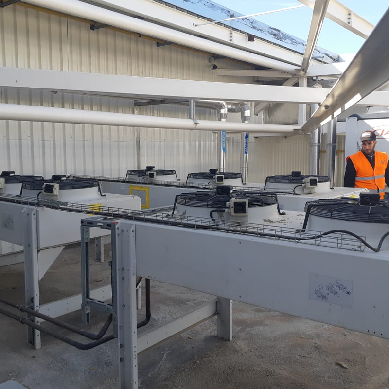 Maintenance curative